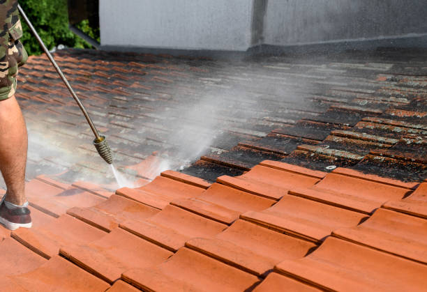 Best Deck Cleaning Services  in Morehead, KY